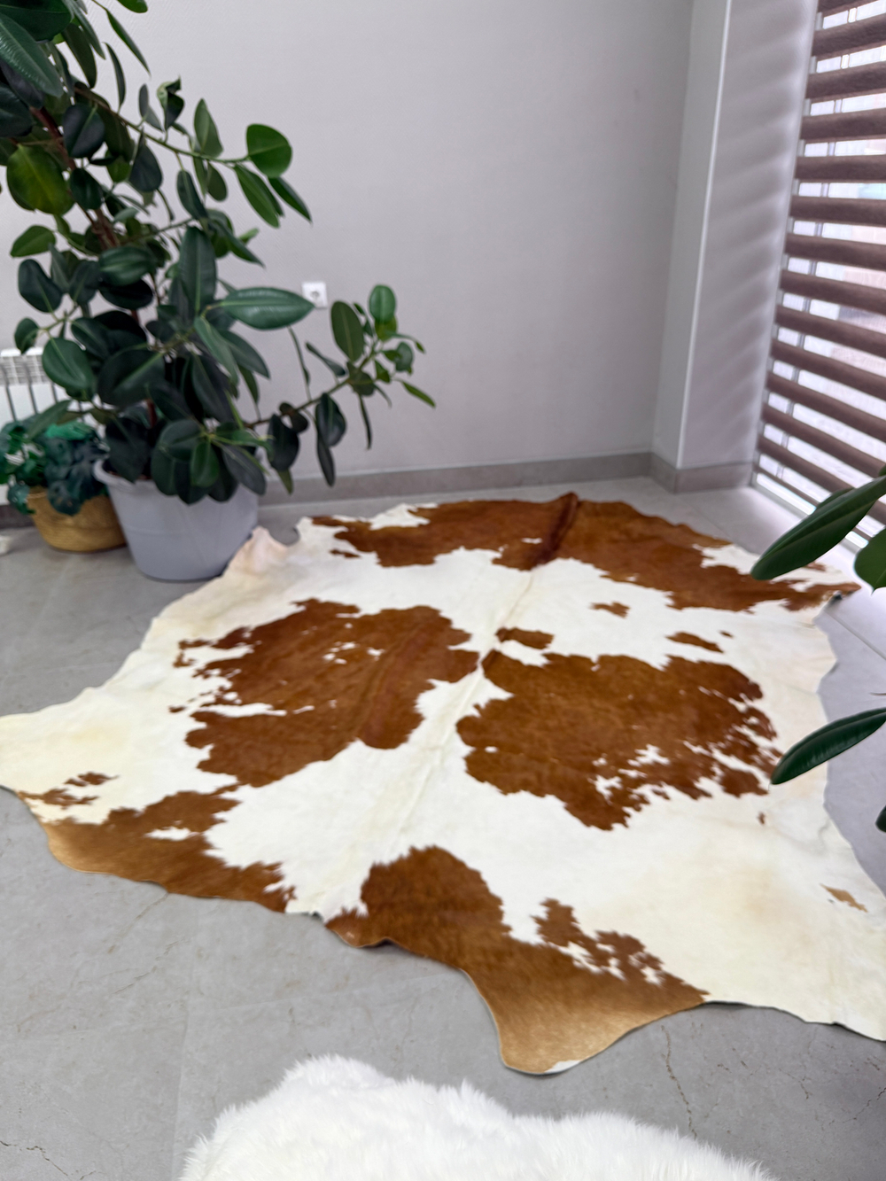 Коровья шкура на пол натуральная.