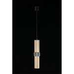 Подвесной светильник Aployt Beasia APL.614.16.01