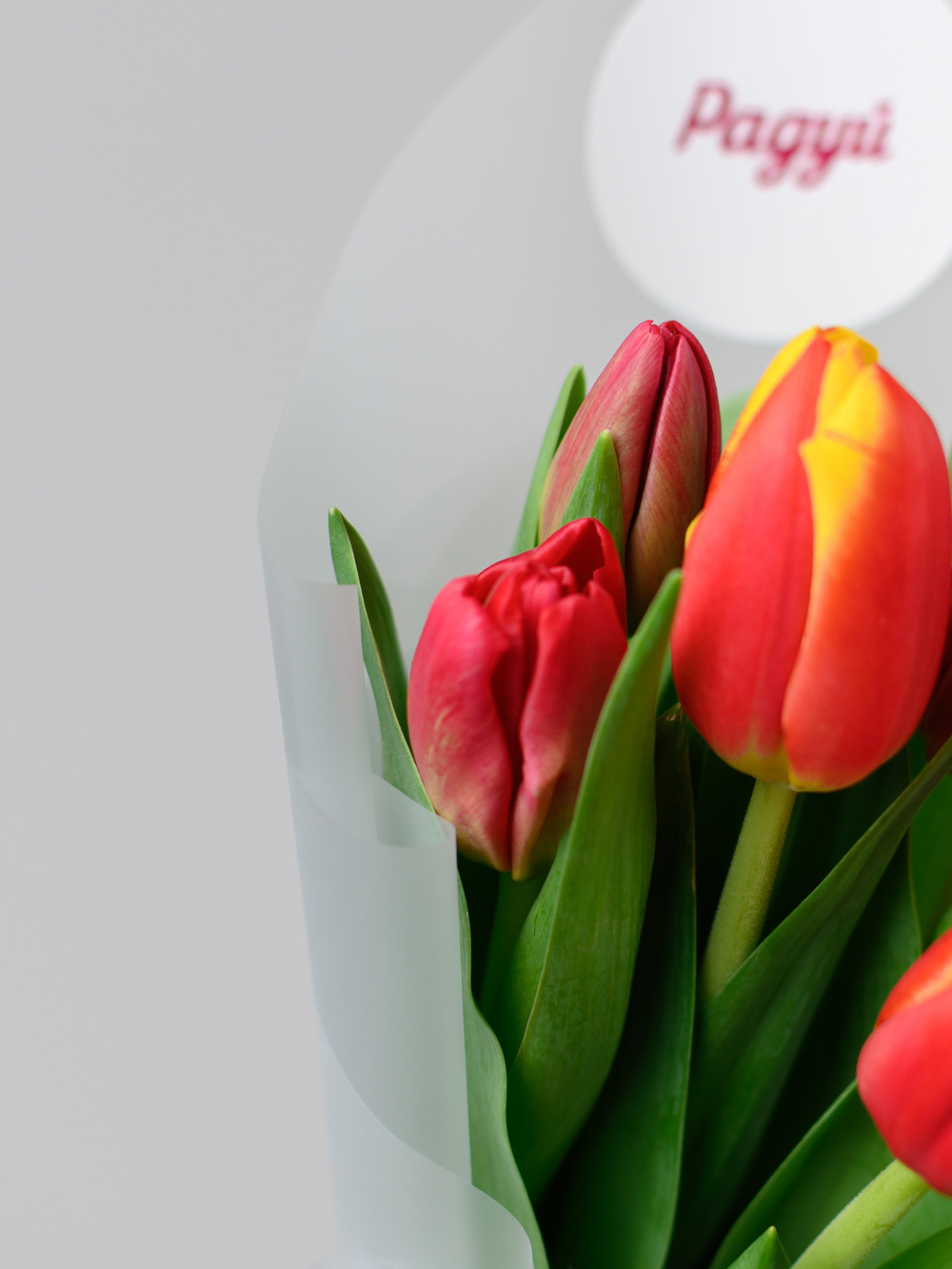 Тюльпаны микс