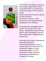 Тыква Тромба семена 20шт 2,3г мускатная