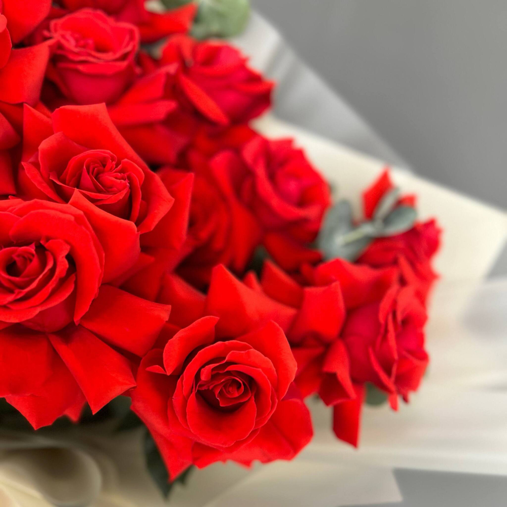 Rosiers français