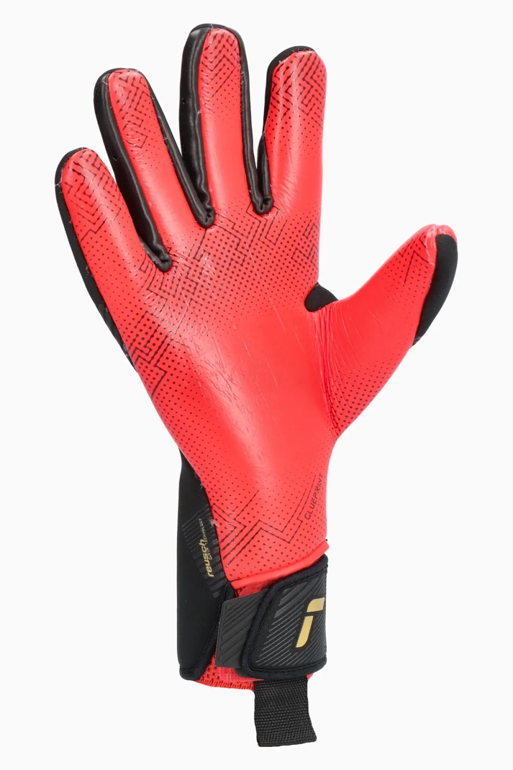 Вратарские перчатки Reusch Fastgrip Gold X GluePrint