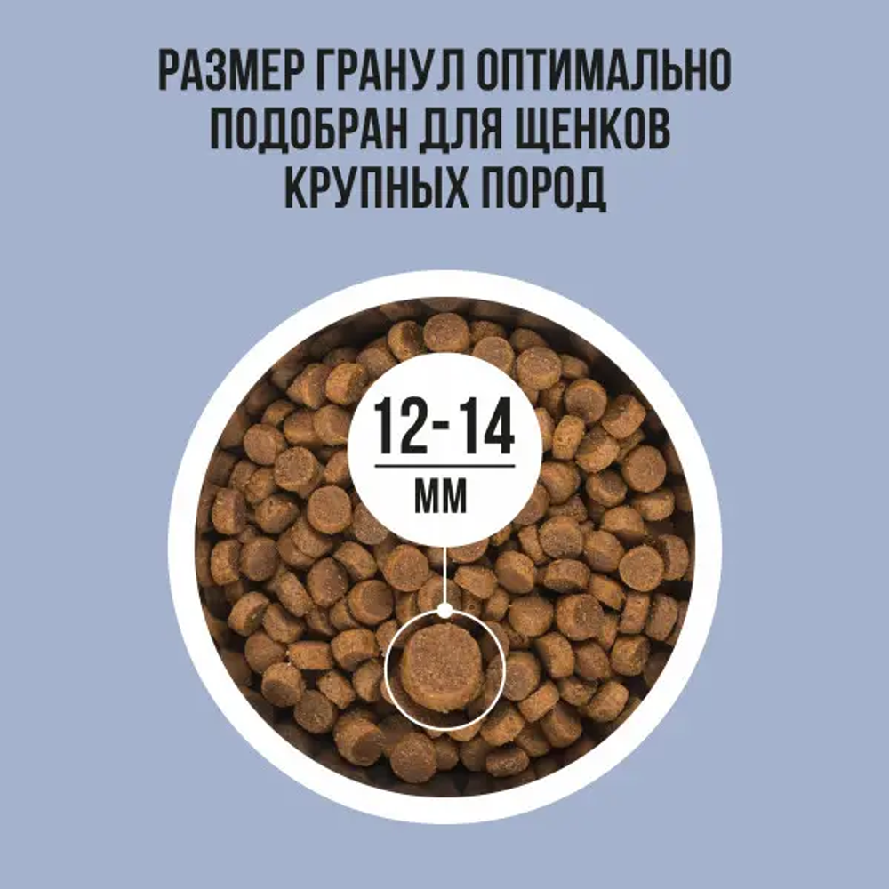 Bowl wow корм сухой для щенков крупных пород: индейка, ягненок, рис, черника