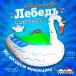 Электрическая бамперная лодка «Лебедь» на часовом механизме