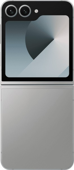 Samsung Galaxy Z Flip 6 12/256Gb (SM-F741B) Silver Shadow