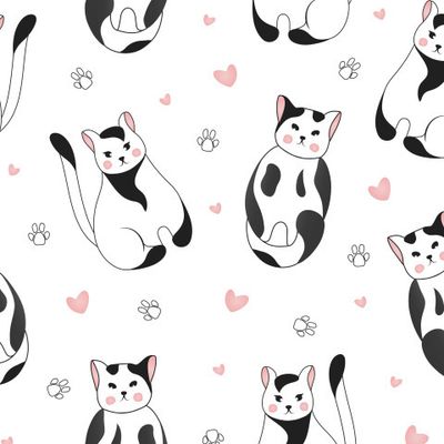 Черно-белые кошки на белом.