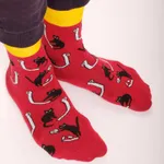 Носки Кошки За Бумажной Работой