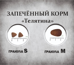 Гранулы