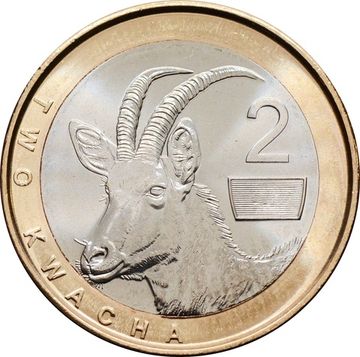 2 квачи 2024 Замбия