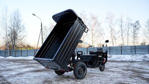 Грузовой электрический трицикл WHITE SIBERIA SIBTRIKE PRO CARGO 2000W (60V/36Ah) - версия 2025 года фото №21
