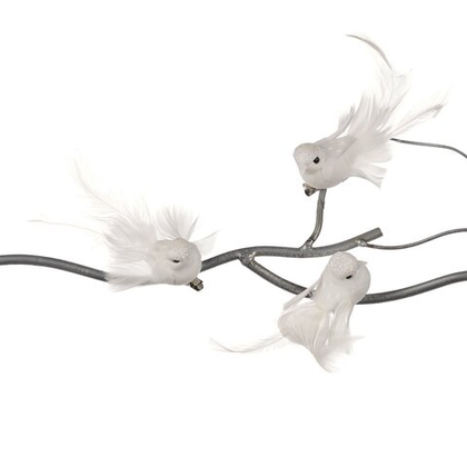 nan Премиум Goodwill