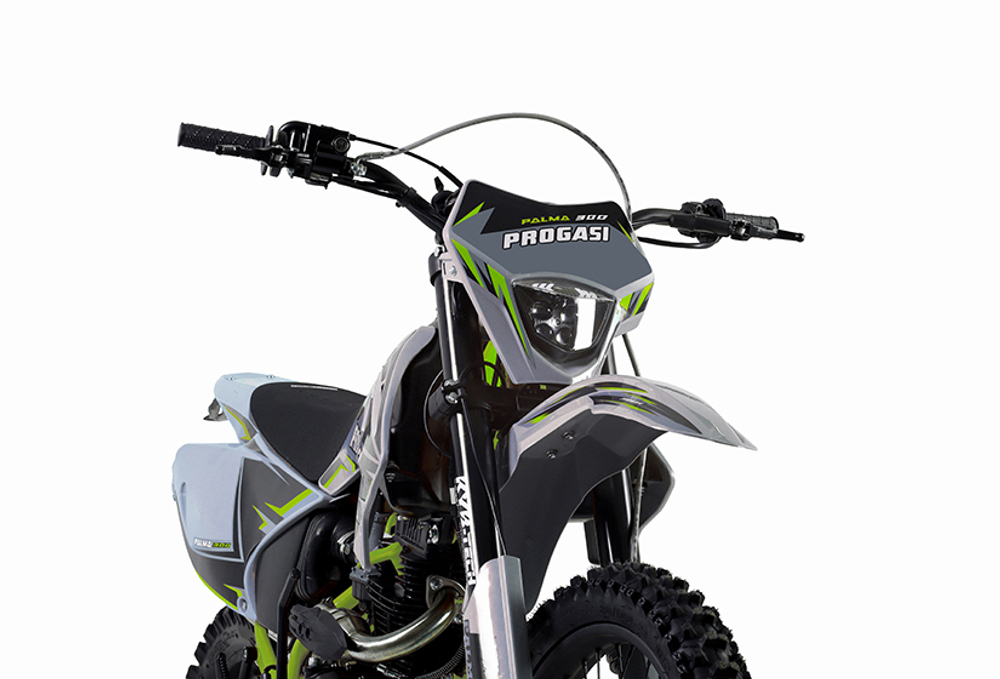 Мотоцикл PROGASI PALMA 300