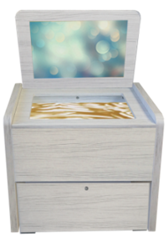 Сундучок психолога-дефектолога "Антошка" Школа