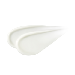 Skinfood Vege Garden Cleansing Foam Wild Berry 150ml