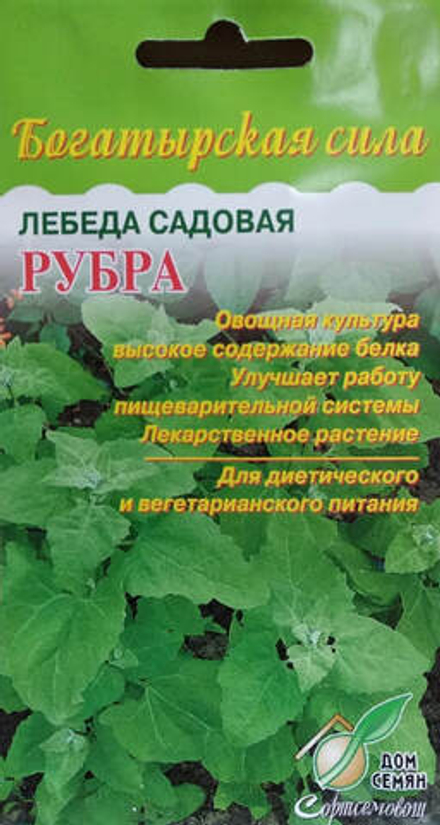 Лебеда Рубра садовая 20шт ССов