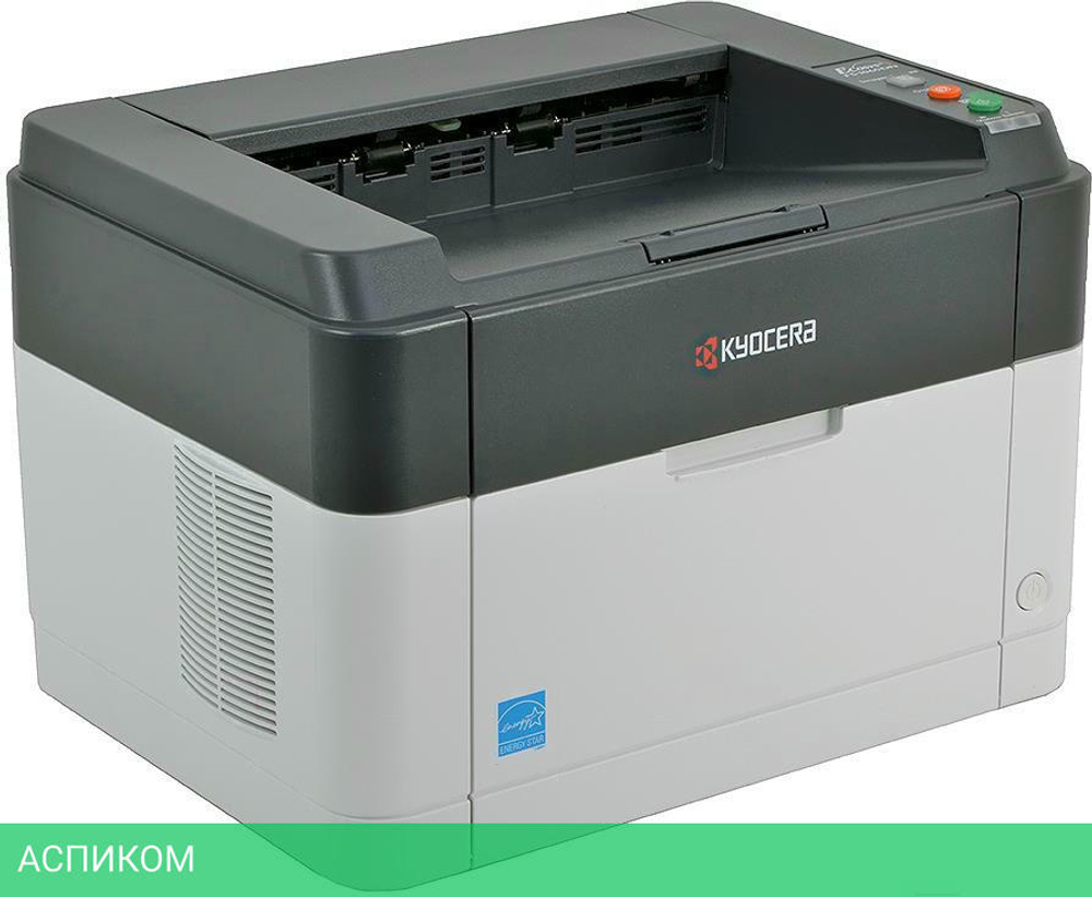 Принтер Kyocera Ecosys FS-1060DN (1102M33RU0)