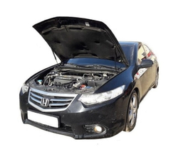 Амортизатор (упор) капота на Honda Accord 04-03(с 2008 по 2013 г.в.)Autoinnovation