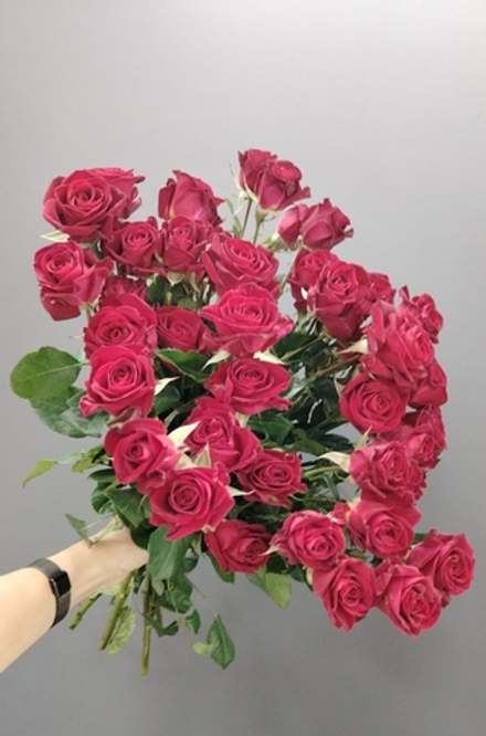 11 веток красных кустовых роз + красная лента