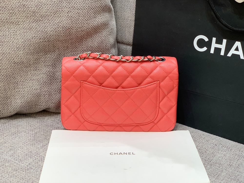 Chanel Bag 20 cm
