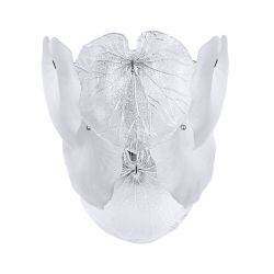 Настенный светильник Arte Lamp