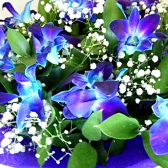 Букет из орхидеи и гипсофилы Сиреневый туман