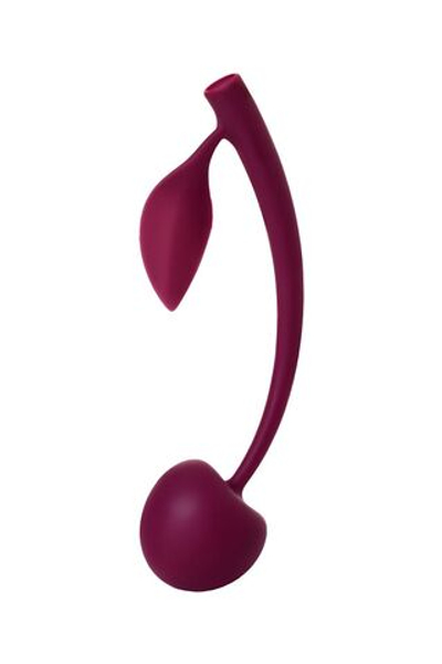 Бордовая вагинальная вишенка WILD CHERRY - 13 см. (Цвет: бордовый)