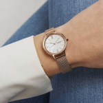 Женские наручные часы Skagen SKW2865
