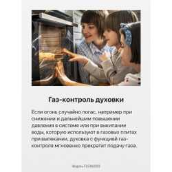 Газовая плита Hansa FCGX62020