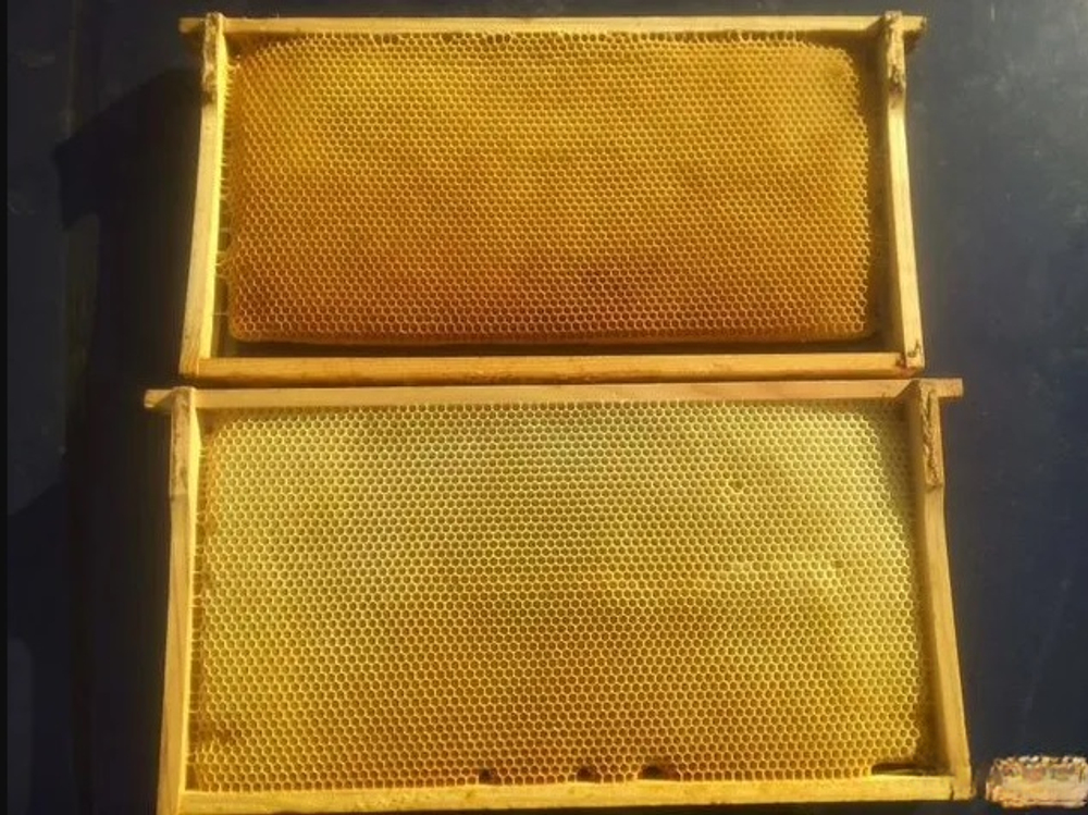 Переработка суши(сотов) в вощину