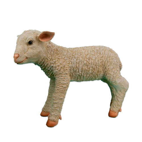 Овечка стоячая