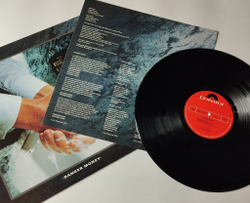 Винтажная виниловая пластинка LP UK Danger Money (Japan 1979) (No Obi) Nothing To Lose