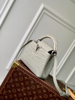 Louis Vuitton Capucines Mini