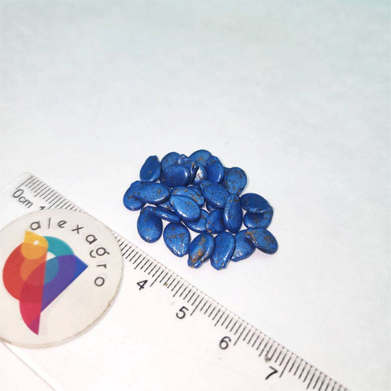 Каристан F1 семена арбуза (Syngenta /ALEXAGRO) – фото 12