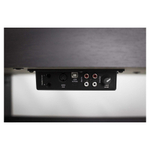 Artesia DP-10e PVC RSW