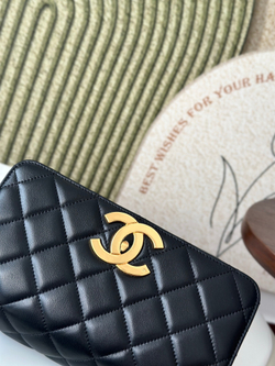 Chanel Bag 25 cm (2 variants)