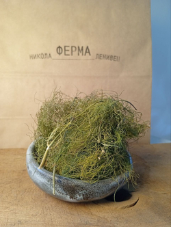 Фенхель сушеный