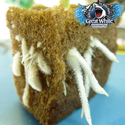 Микориза Great White Premium Mycorrhizae