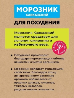 Морозник кавказский для похудения