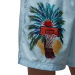 Баскетбольные шорты Jordan Essentials Shorts Blue