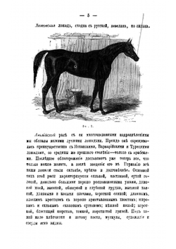 Иллюстрированный гомеопатический лечебник для домашних животных | Швабе Вильмар