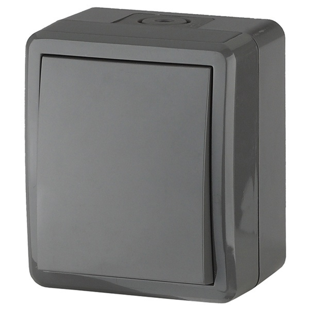 Выключатель 1 кл IP54 11-1401-03 ЭРА, 10АХ-250В, ОУ, Эра Эксперт, серый Б0020670