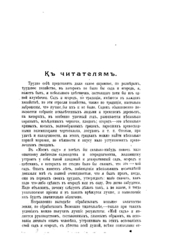Мой сад | Штейнберг Павел Николаевич