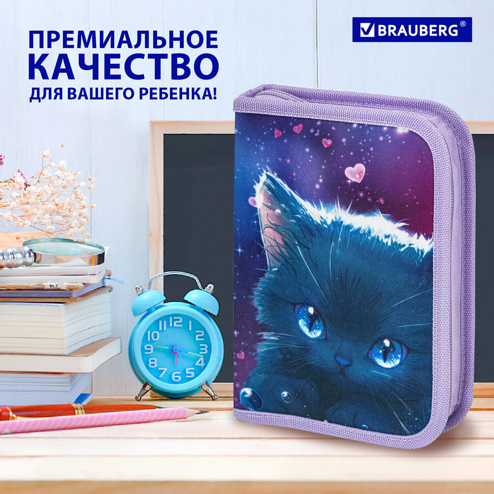 Пенал BRAUBERG 1 отделение 1 откидная планка полиэстер 21х14 см "Anime cat" (2 штуки в упаковке)