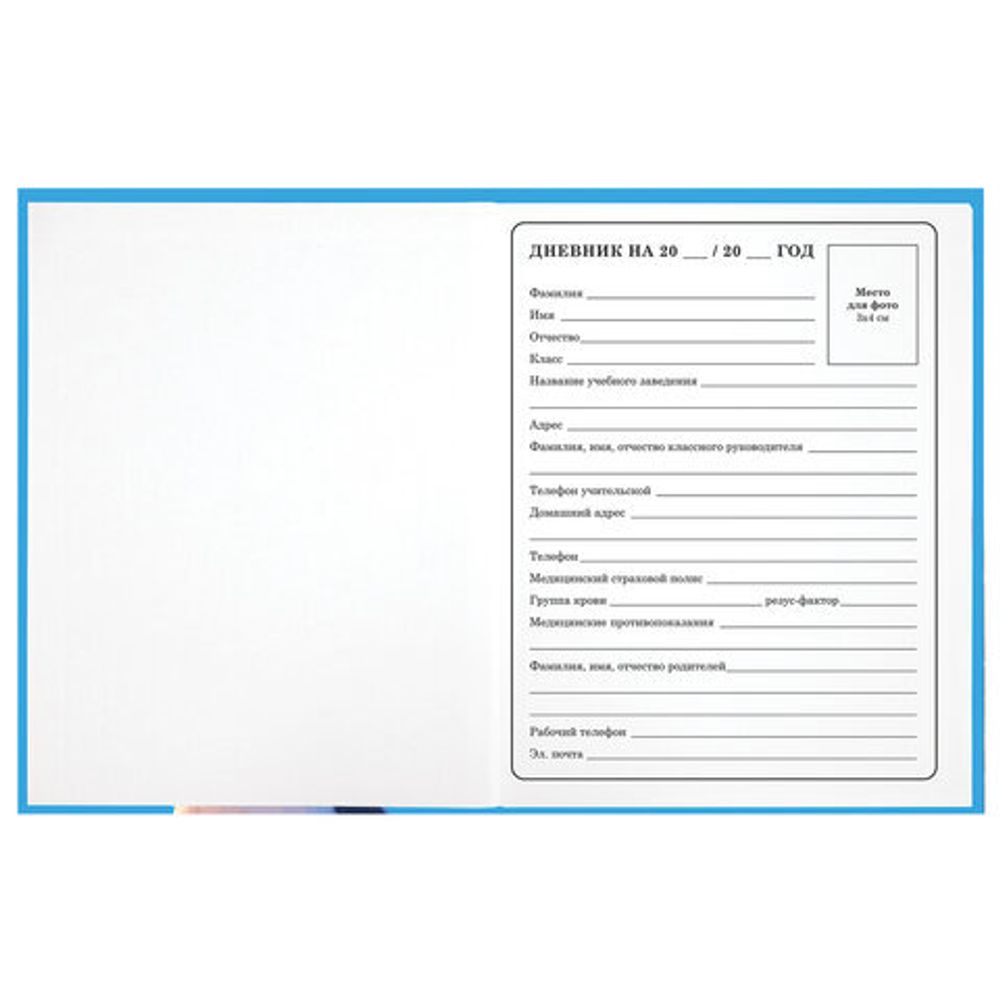 Дневник 1-4 класс 48 л., твердый, ЮНЛАНДИЯ, глянцевая ламинация, с подсказом, "Котик", 107147