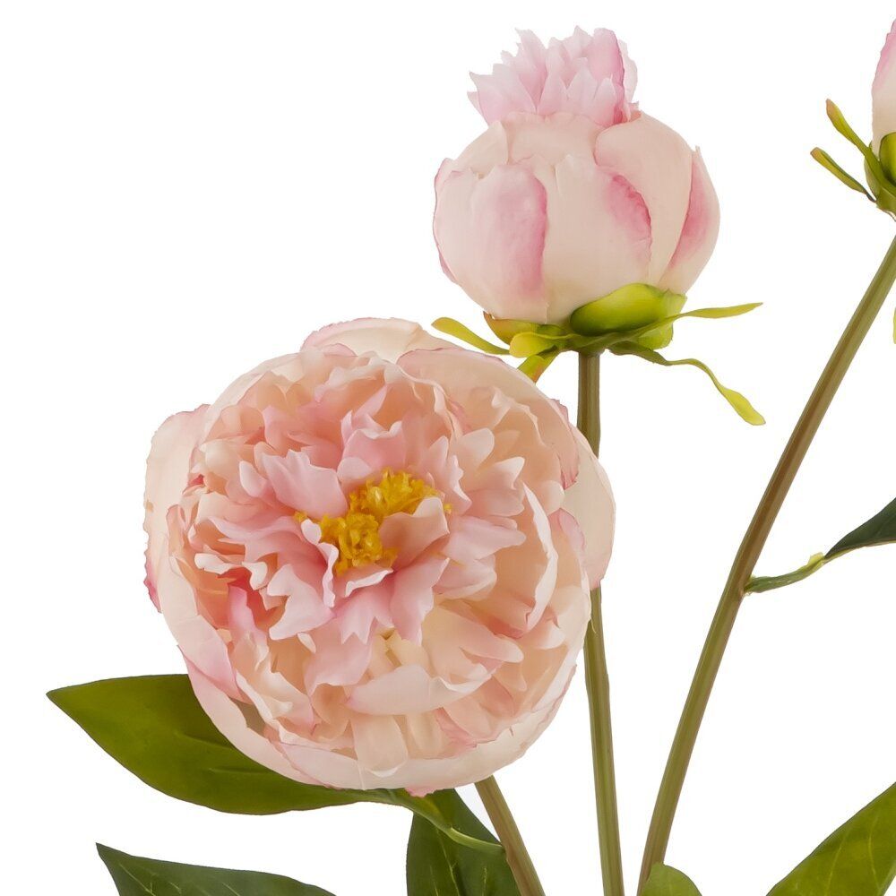 GAEM Цветок искусственный "Пион", L17 W9 H63 см
