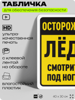 Табличка для обеспечения безопасности "Осторожно, лёд, смотрите под ноги", для офиса, по охране труда для предприятия, организаций, 40х30 см, Silver Plane x Айдентика Технолоджи
