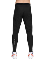 Брюки мужские Bjorn Daehlie Run 2.0 Black