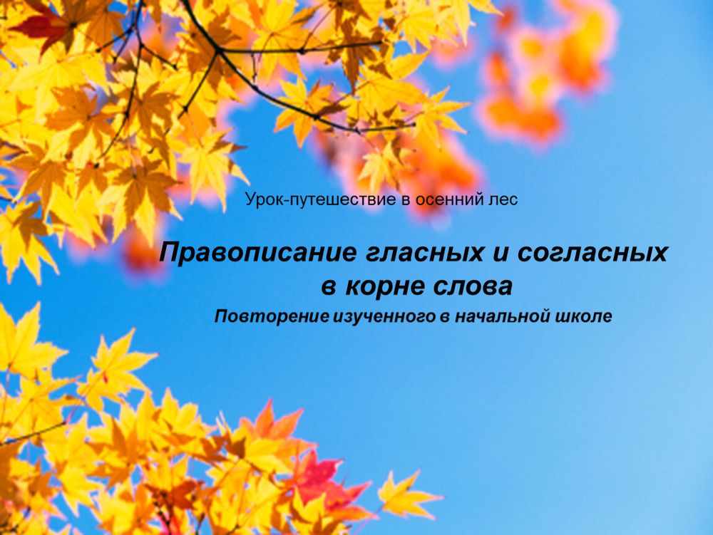 Правописание гласных в корне слова (5 табл.+32 карточки) — купить по ФГОС | Учебный стандарт Правописание гласных в корне слова (5 табл.+32 карточки) — купить по ФГОС | Учебный стандарт