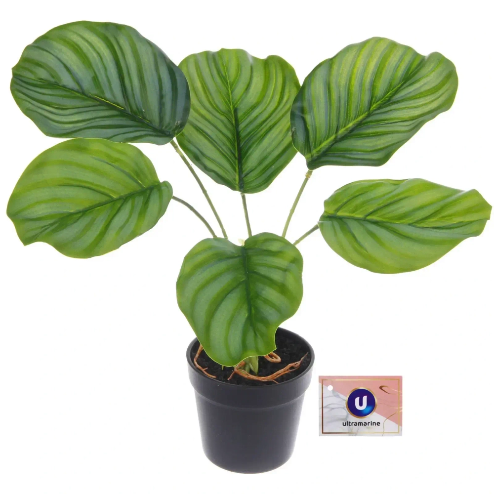 Цветок искусственный в горшке «Калатея» 28см