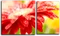 Модульная картина "Красные лепестки"